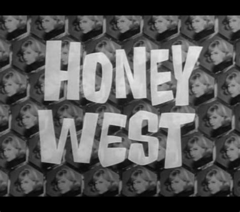 Honey West TV Series Show Full Episodes 1965 1966 - Etsy