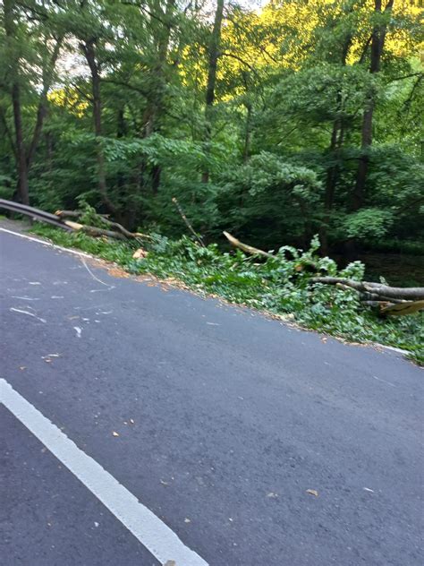 FOTO Furtuna de azi noapte a dărâmat mai mulți copaci în zona Pădurea