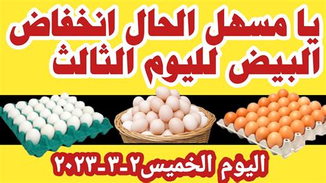 اسعار البيض اليوم سعر البيض اليوم الخميس 202332 في السوق المحلي في