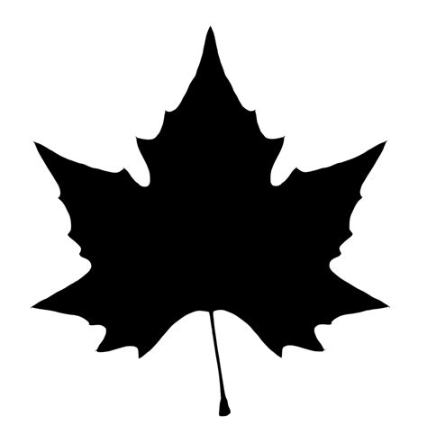 Leaf Vector 2 (SVG, PNG) | OnlyGFX.com