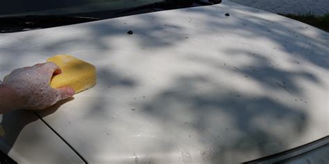 How to Remove Tree Sap From Car