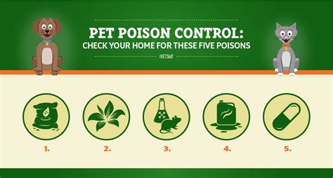 Pet Poison Prevention Infographic | Pet poison prevention, Pet poison ...