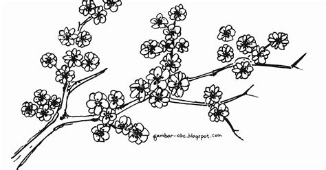 Sketsa Gambar Pohon Sakura - IMAGESEE