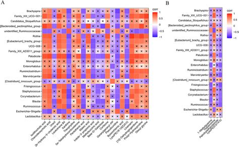 Correlation Analysis Between Differential Genera And Metabolites A