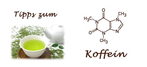 Koffein 10 Tipps Zum Grünen Tee