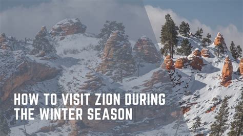 Discover Winter Magic at Zion National Park!