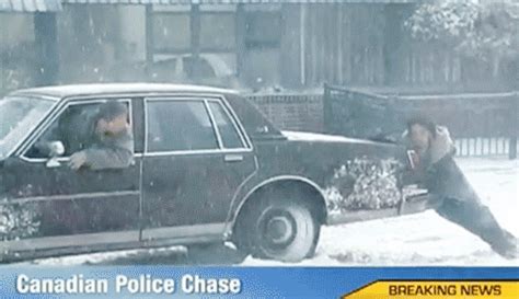 Canadian Police Chase GIFs on Giphy