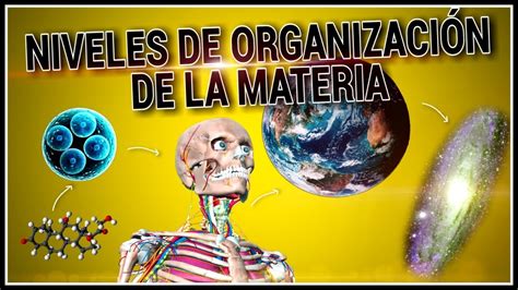 Ciencias Naturales En Secundaria La Materia Se Organiza En Niveles