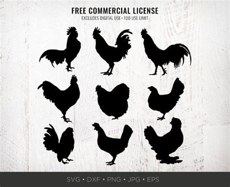 Chicken Svg Bundle Farm Svg Kitchen Svg Rooster Svg Etsy Art