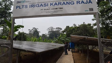 Cerita Petani Lingkar Tambang Bukit Asam Manfaatkan PLTS Irigasi Untuk