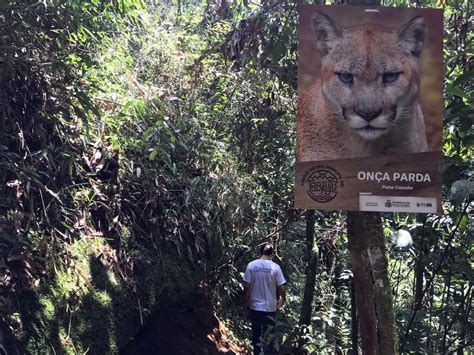 Parque Natural Do Trabiju Unidade De Conserva O Como Atrativo