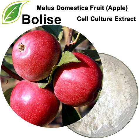 Buy Malus Domestica Fruit Apple Cell Culture Extract Price Supplier