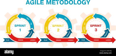 Agiles Projektmanagement Infografik Zur Entwicklungsmethodik Agile