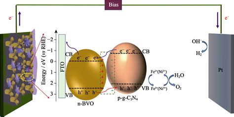 P N异质结bivo 4 G C 3 N 4 光阳极的制备及其光电化学水解性能