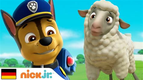 Paw Patrol Helfer Auf Vier Pfoten Welpen Retten Eine Herde Nick Jr