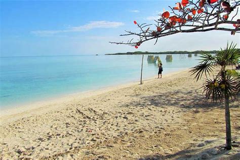 Reabre Cuba Sus Puertas Al Turismo Internacional Embajadas Y