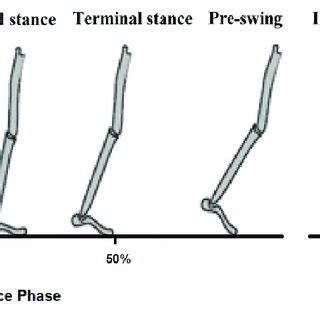 Gait Phases In A Normal Gait Cycle A Stance Phase B Swing Phase