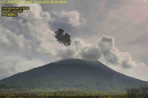 Aktivitas Gunung Ile Lewotolok Meningkat Warga Waspada