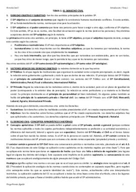 TEMA 1 EL DERECHO CIVIL Pdf