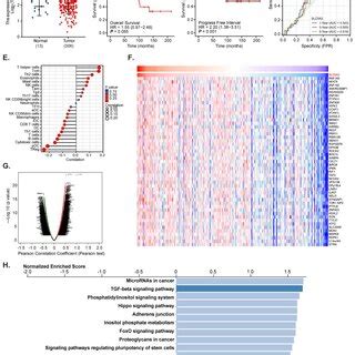 Slc A Is Upregulated In Cervical Cancer Tcga Cervical Cancer Cohort