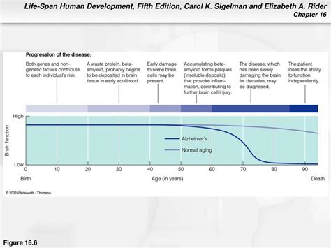 Ppt Chapter 16 Development Psychopathology Powerpoint Presentation