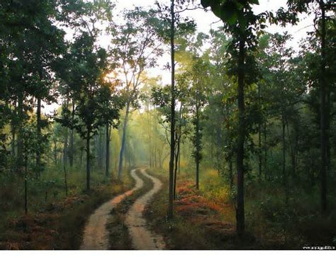 PENCH NATIONAL PARK - Tiger Safari India Blog