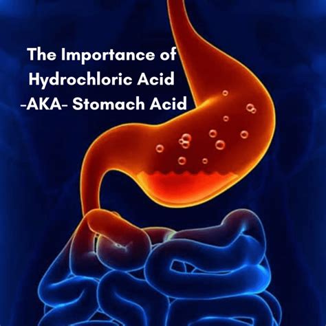 What Is Hydrochloric Acid Fit Logic Functional Medicine