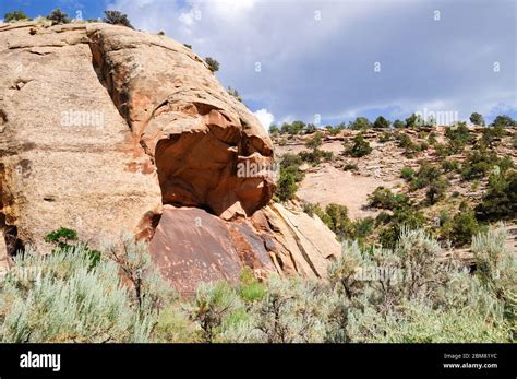 Anasazi Petroglyphs At Newspaper Rock At Canyonlands National Park