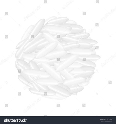 Rice Seed Raw Isolated On White Stock Vector Royalty Free