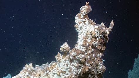 Newly Discovered Hydrothermal Vents At Depths Of 3 000 Meters Off