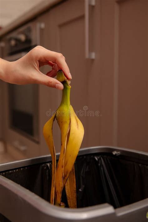 Woman Putting Banana Peel In A Trash Bin Kitchen And Home Stock Image