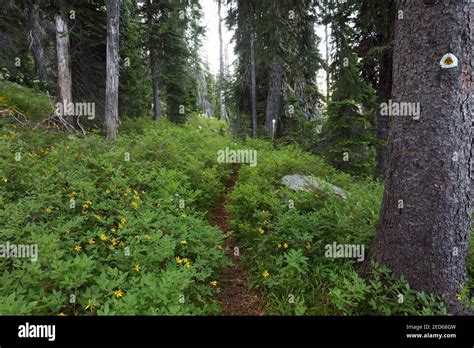 Pnt Trail Marker Hi Res Stock Photography And Images Alamy