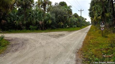 Big Cypress National Preserve Pink Jeep Campground Bringing You