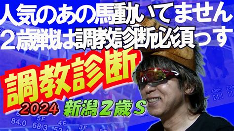 【2024調教診断 新潟2歳s】ま、調教動いてなくても強い馬が来ちゃうってのも2歳戦なんすけどね Youtube