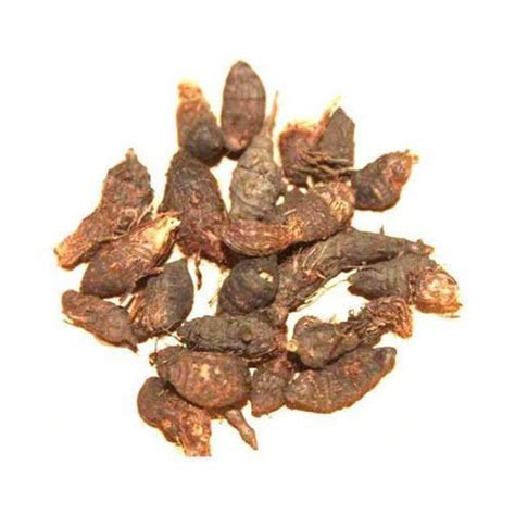 Korai Kilangu / Dried Nut Grass / Purple Nut Sedge / கோரைக்கிழங்கு ...