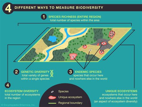 4 Different Ways To Measure Biodiversity Student Center