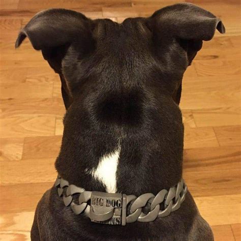 Commander Matte Finish Dog Collar - BIG DOG CHAINS — BIG DOG CHAINS ...