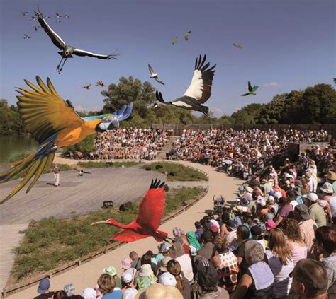 Parc Des Oiseaux De Villars Les Dombes Parc Des Oiseaux Parc