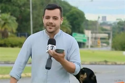 Cãozinho pede carinho ao vivo para repórter catarinense e rouba a cena