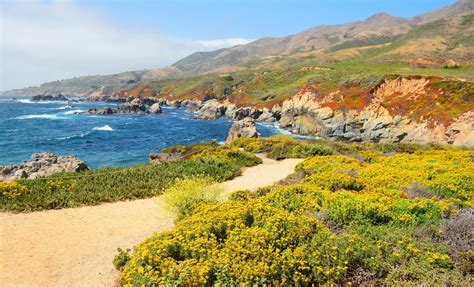 9 Best Beaches in & Around Monterey, California | Celebrity Cruises