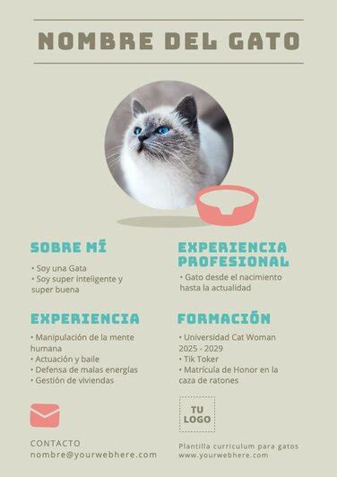 Plantillas De Curr Culums Para Perros O Gatos