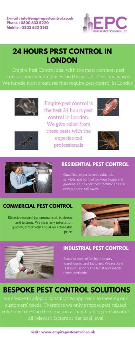 Empire Pest Control By Arnold Schwazenegger Issuu