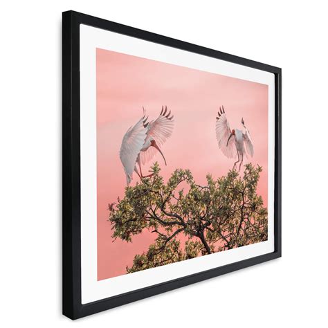 Poster Zhao Vogelp Rchen Im Sonnenuntergang Wall Art De