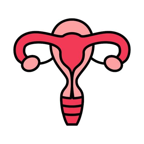 Premium Vector Uterus Set Icon Uterus Ovaries Fallopian Tubes Female