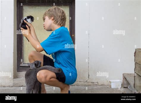 Boy Holding A Newborn Kitten Stock Photo Alamy