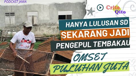 Hanya Lulusan SD Sekarang Jadi Pengepul Tembakau Besar Dengan Omset