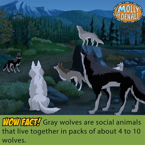 Wild Kratts on Twitter: "To celebrate the upcoming super special