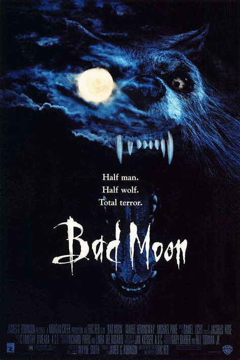 The 15 Best Werewolf Horror Movies