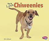 Chiweenie Training & Tips 4 Older Dogs | HubPages