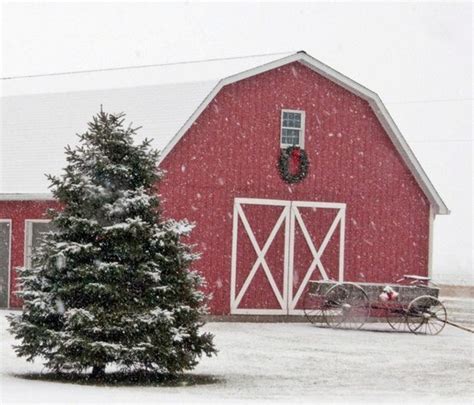 111 Best Christmas Barns Images On Pinterest Christmas Time La La La